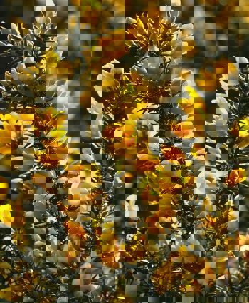 Pierre Bamin Lqg3kxn2dsu Unsplash (1)