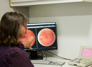 Eye Test Scan Bayfields