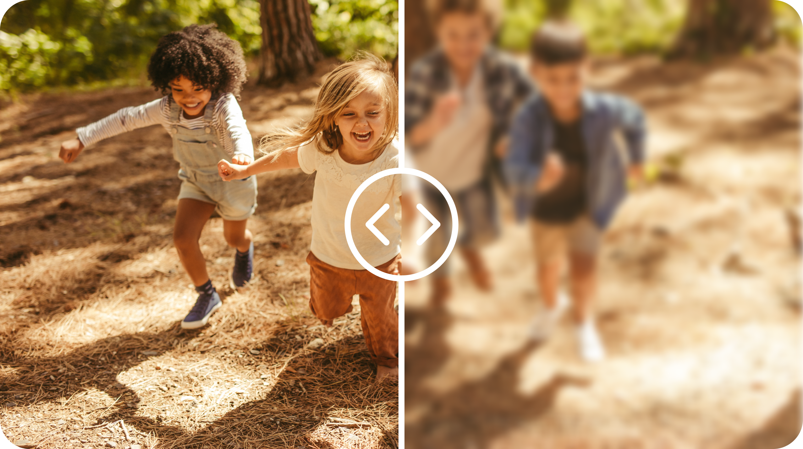 Ocumetra Vision Simulator Image