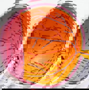 Eye Health Desktop