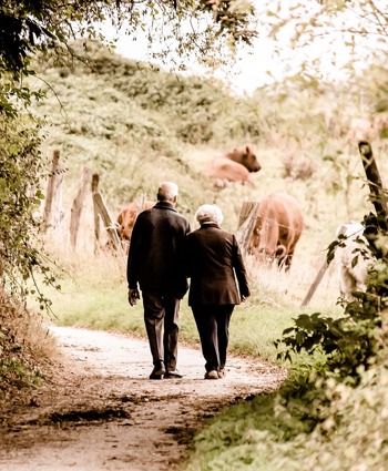 hearing loss this christmas