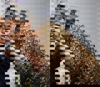 spotting hearing loss symptoms early