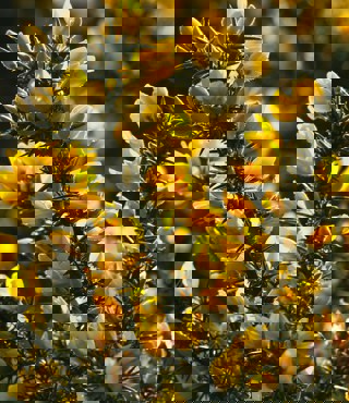 Pierre Bamin Lqg3kxn2dsu Unsplash