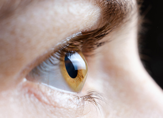 Istock 1356560293