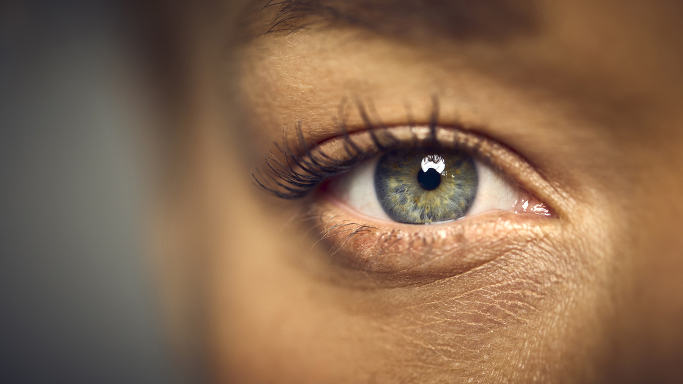Istock 1849425599